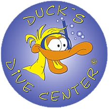 Ducks Dive Center